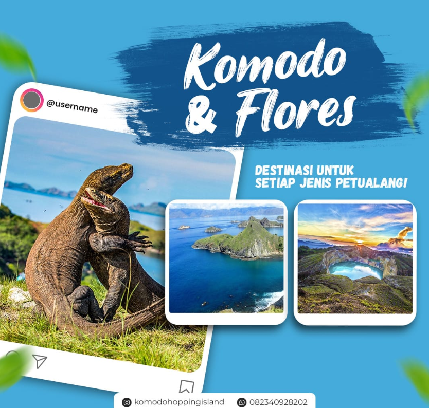 Wisata Pulau Komodo